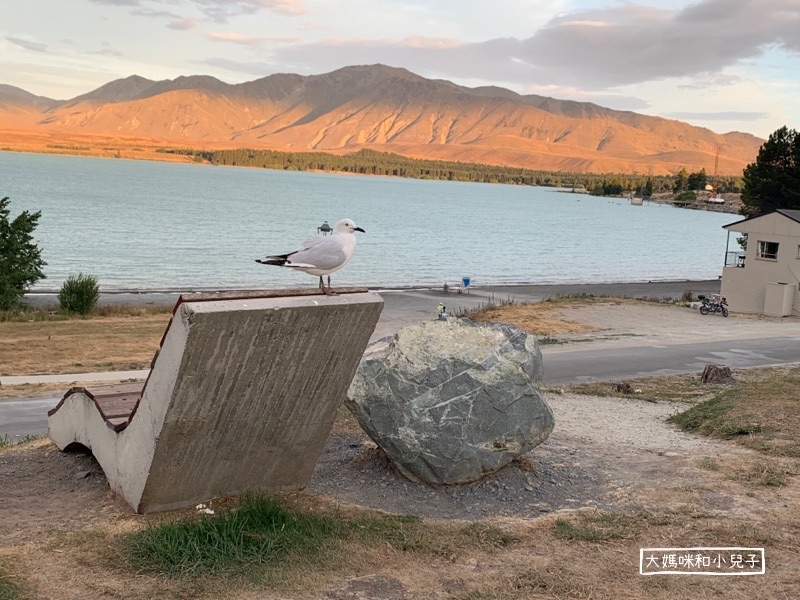 [紐西蘭南島] Lakes Edge Holiday&nbsp;Park最棒的營地開箱