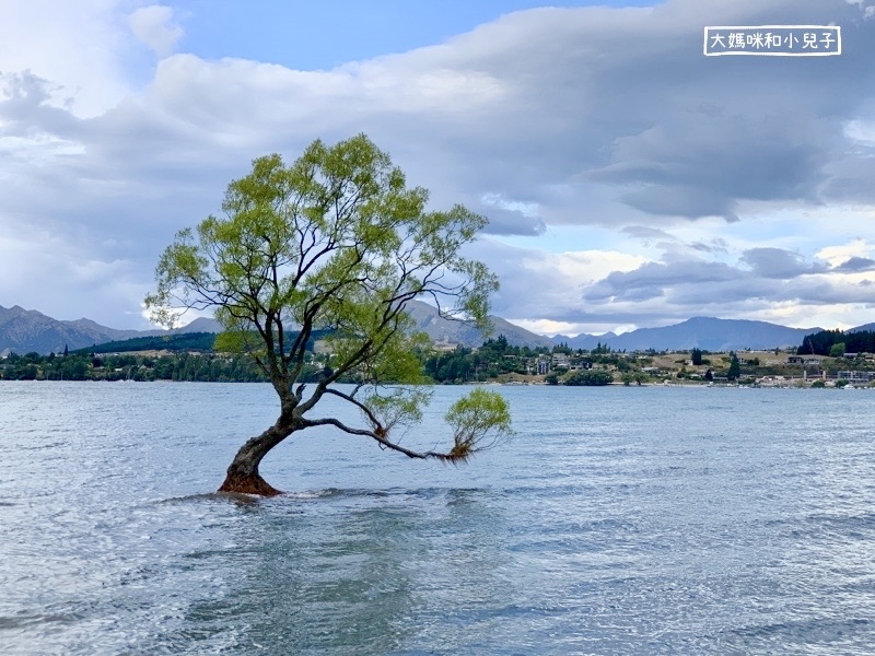 [紐西蘭南島] Wanaka營地開箱與薰衣草農場