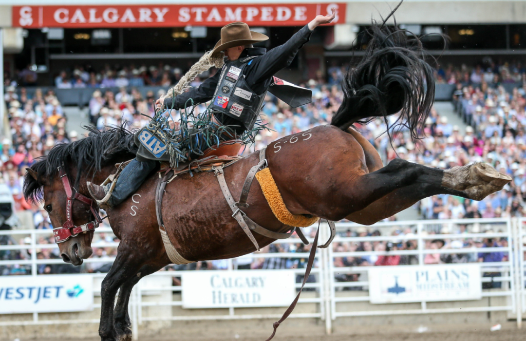 [加拿大班夫] 像夜市的卡加利牛仔節Calgary Stampede